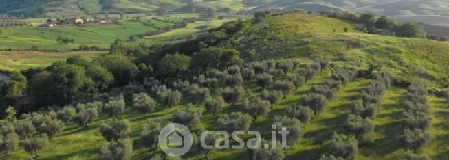 Terreno agricolo in commerciale in Strada Provinciale 238