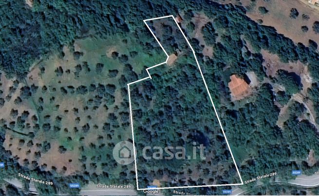 Terreno agricolo in commerciale in Contrada Cartolari