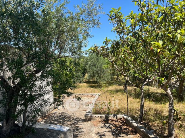 Terreno agricolo in commerciale in Via Piselli 3