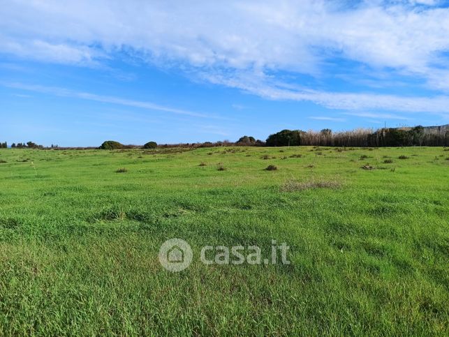 Terreno agricolo in commerciale in Via Palau