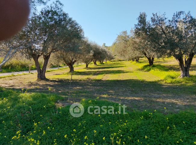 Terreno agricolo in commerciale in contrada latina