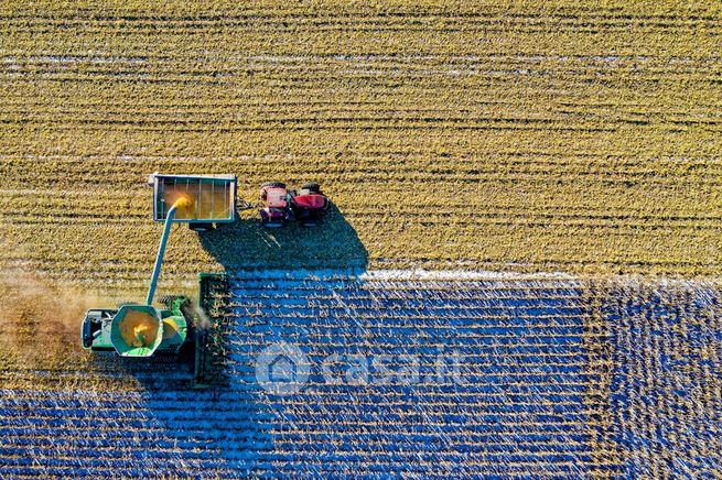 Terreno agricolo in commerciale in Via di Mezzo Levante