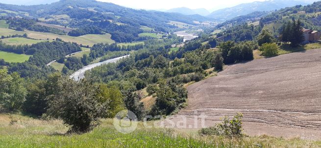 Terreno agricolo in commerciale in Via Cavanna 1