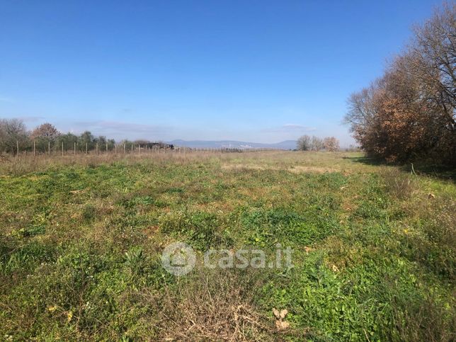 Terreno agricolo in commerciale in Via del Cerro
