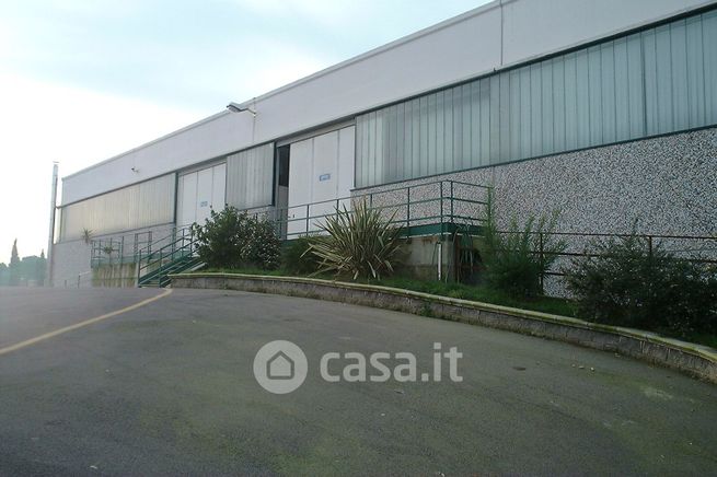 Capannone in commerciale in 