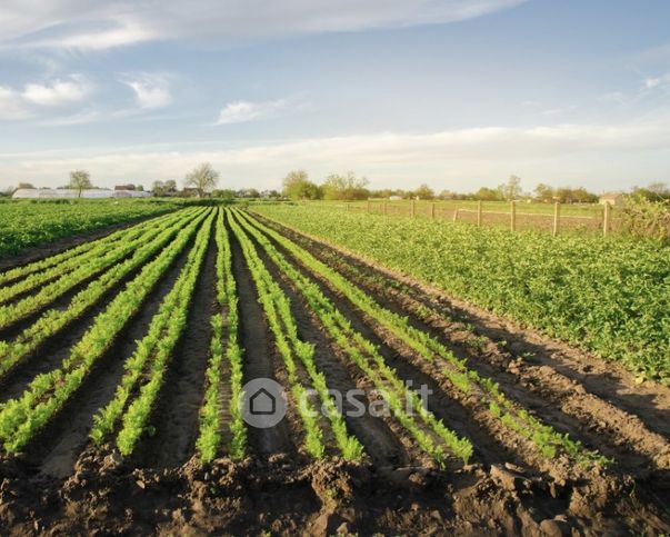 Terreno agricolo in commerciale in Via degli Unni