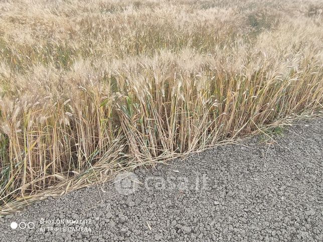 Terreno agricolo in commerciale in 