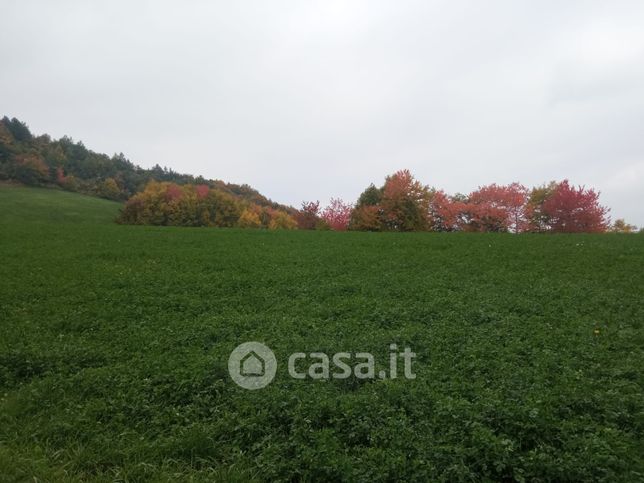 Terreno agricolo in commerciale in Via Carroni