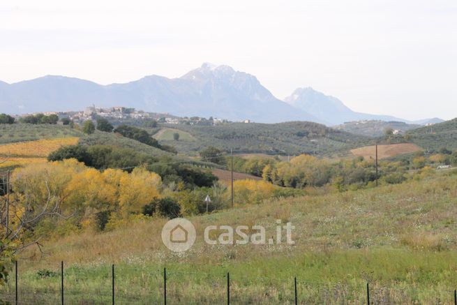 Terreno agricolo in commerciale in Strada Provinciale 12 12