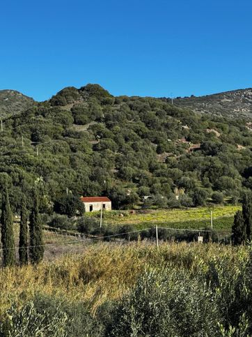 Terreno agricolo in commerciale in Via Pirastreddu 64