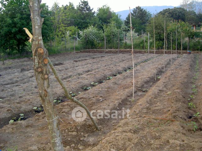 Terreno agricolo in commerciale in Via San Ginese 15