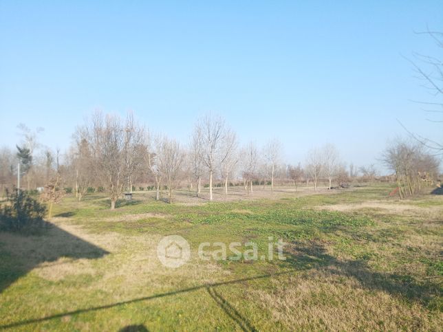 Terreno agricolo in commerciale in Via vittorio Emanuele II