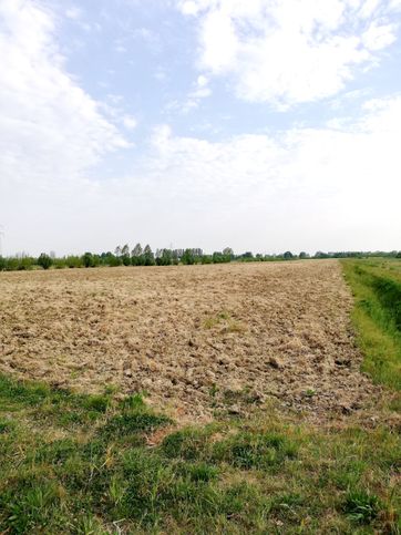 Terreno agricolo in commerciale in Via Zumianella