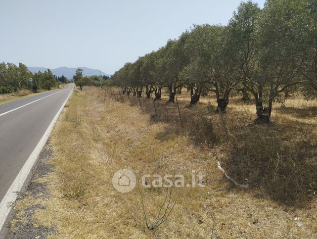 Terreno agricolo in commerciale in Strada Statale 195 Sulcitana 76