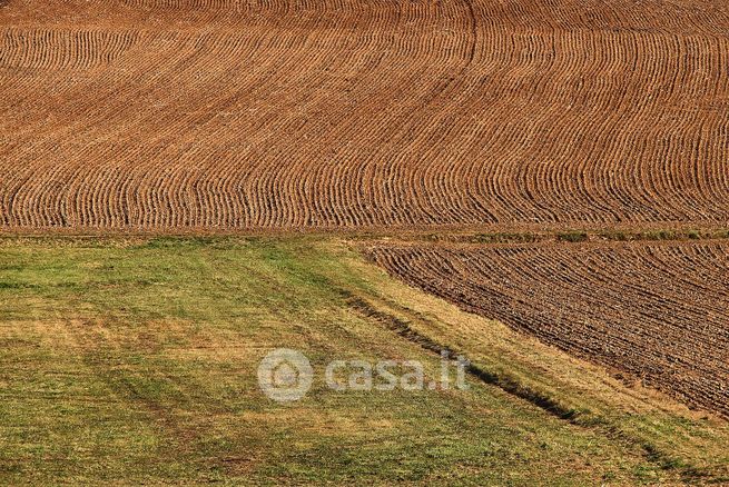 Terreno agricolo in commerciale in Via Argine DX Novissimo