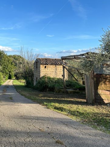 Terreno agricolo in commerciale in SS158