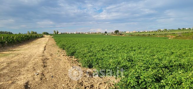 Terreno agricolo in commerciale in I Traversa Via del Mare