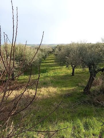 Terreno agricolo in commerciale in Piano dei forni