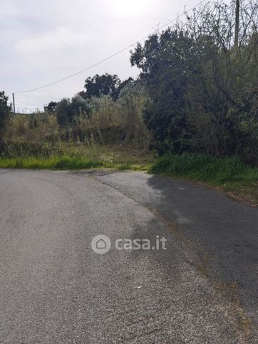 Terreno agricolo in commerciale in Località Traversa Livornese le Stregonie