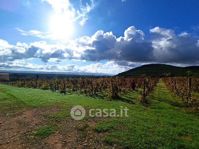 Terreno agricolo in commerciale in Strada Vicinale Gutierrez