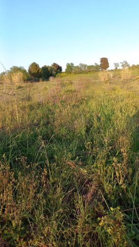 Terreno agricolo in commerciale in Strada Comunale di Trexenta (pressi 128)