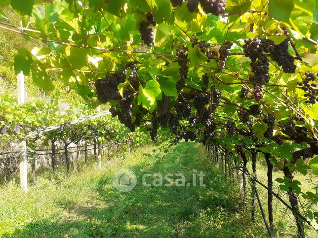 Terreno agricolo in commerciale in Via Vignol 1