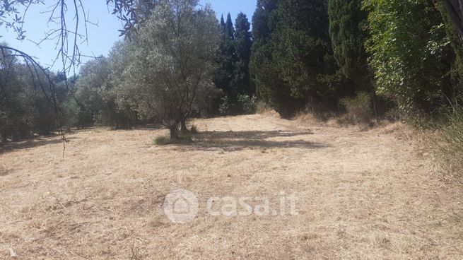 Terreno agricolo in commerciale in Strada Provinciale Volterrana 39