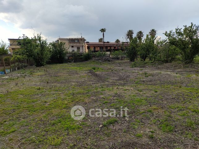 Terreno edificabile in residenziale in Via Palma Quarta Traversa Sinistra 34