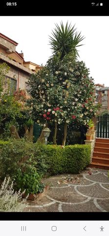 Villetta a schiera in residenziale in Via San Marco 6