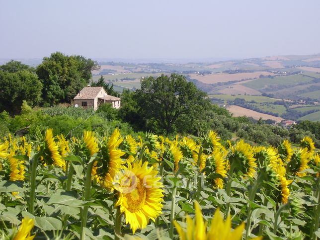 Rustico/casale in residenziale in Campi Lunghi 40