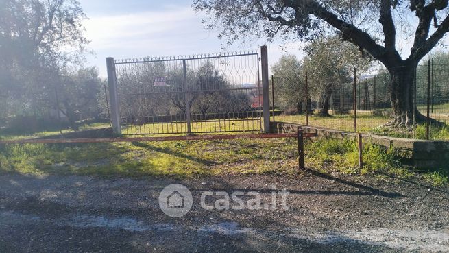 Terreno agricolo in commerciale in Via del Fosso degli Arcacci
