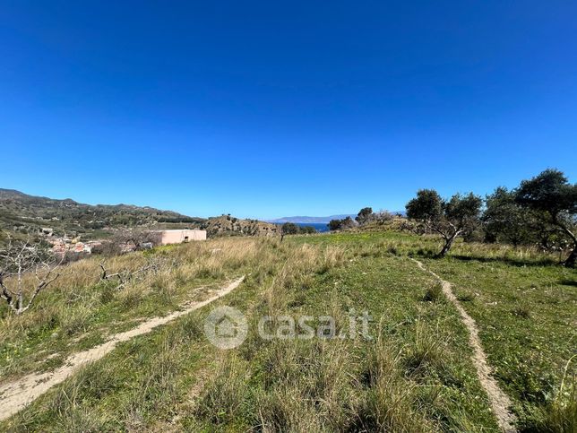 Terreno agricolo in commerciale in Località Santa Margherita