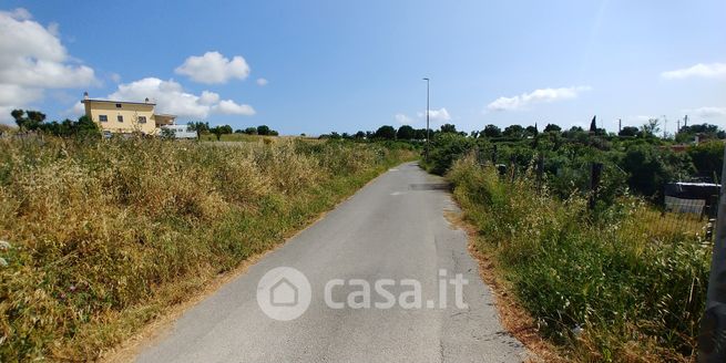 Terreno agricolo in commerciale in Strada Delle Molacce