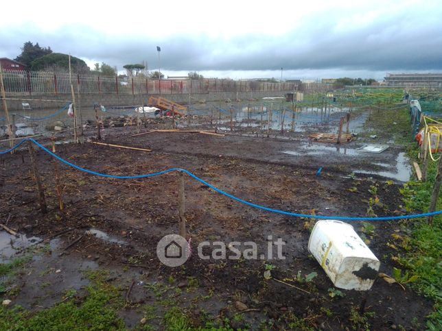 Terreno agricolo in commerciale in Via Appia Nuova 34