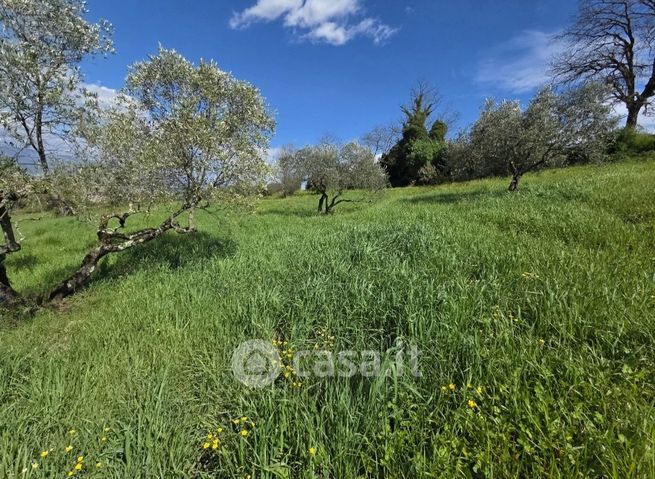 Terreno agricolo in commerciale in Via Provinciale di Montalbano 732