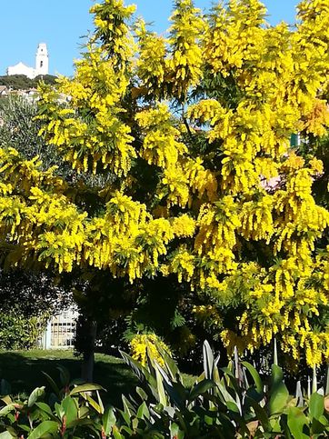 Villetta a schiera in residenziale in Via alla Rovere