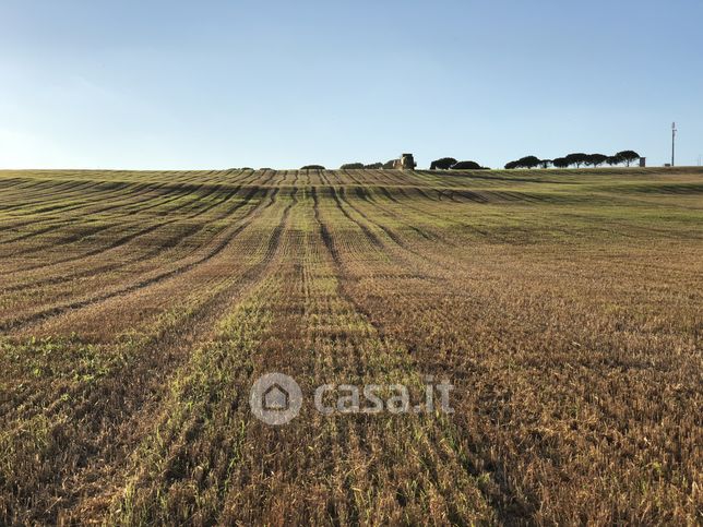 Terreno agricolo in commerciale in Via delle Cortine