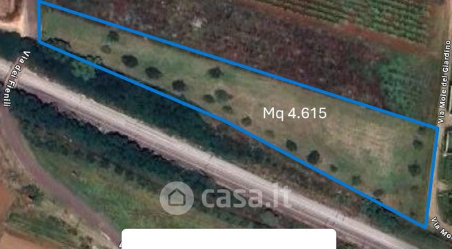 Terreno agricolo in commerciale in Via dei Fienili