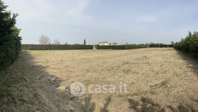 Terreno agricolo in commerciale in Via Ettore Bressan 6