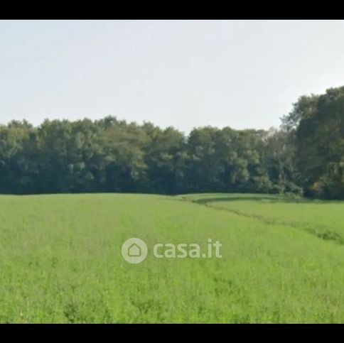 Terreno agricolo in commerciale in Viale Venezia 1