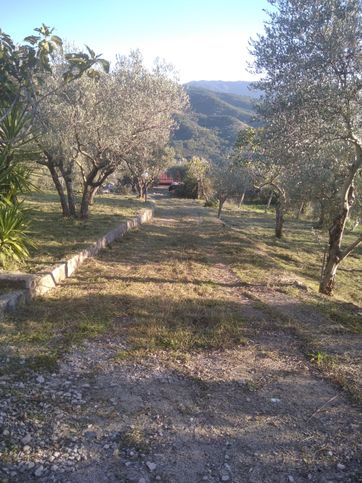 Terreno agricolo in commerciale in Via San Vito