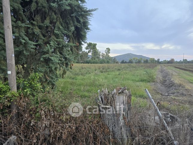 Terreno agricolo in commerciale in 