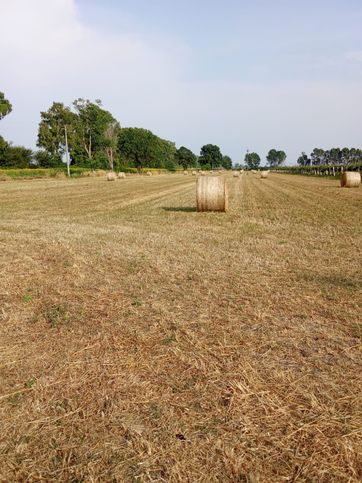 Terreno agricolo in commerciale in Strada Cerretelli