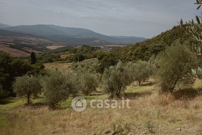 Terreno agricolo in commerciale in Viale Vittorio Emanuele II 1