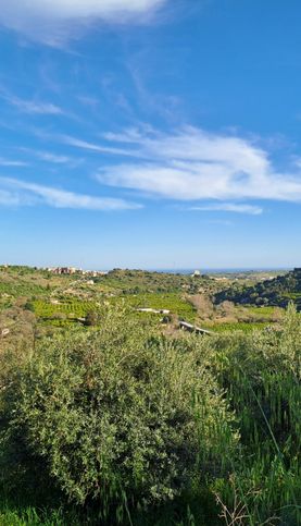 Terreno agricolo in commerciale in Contrada Ferraro