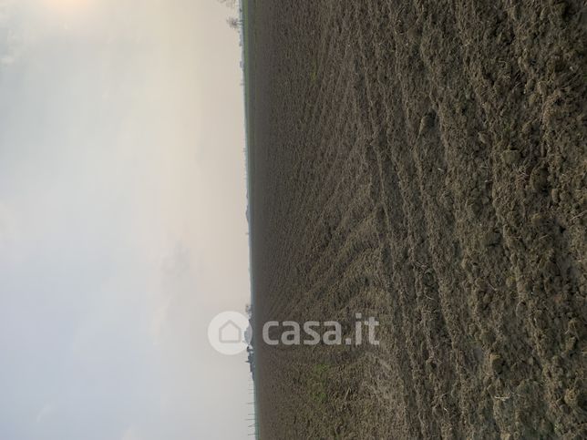 Terreno agricolo in commerciale in LocalitÃ  Ca' Garzoni
