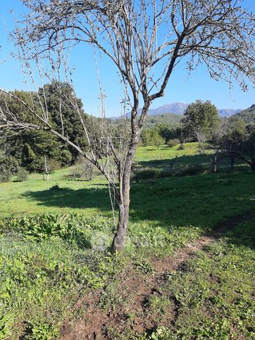 Terreno agricolo in commerciale in Via della Piscina km 1