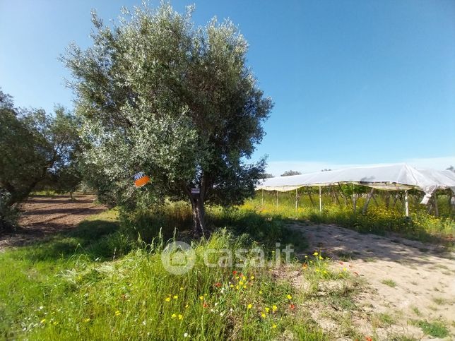 Terreno agricolo in commerciale in Strada Statale 7 00