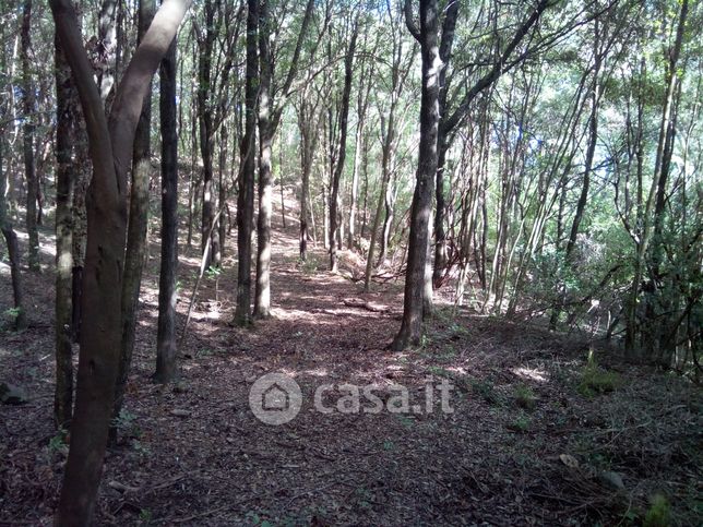 Terreno agricolo in commerciale in Via Poggio Agliai 105