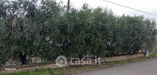 Terreno agricolo in commerciale in Via di Torre Jacova